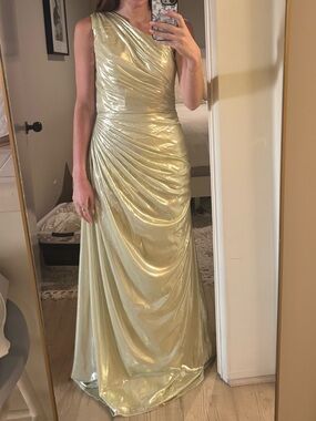 Metallic Gold Costume Dress